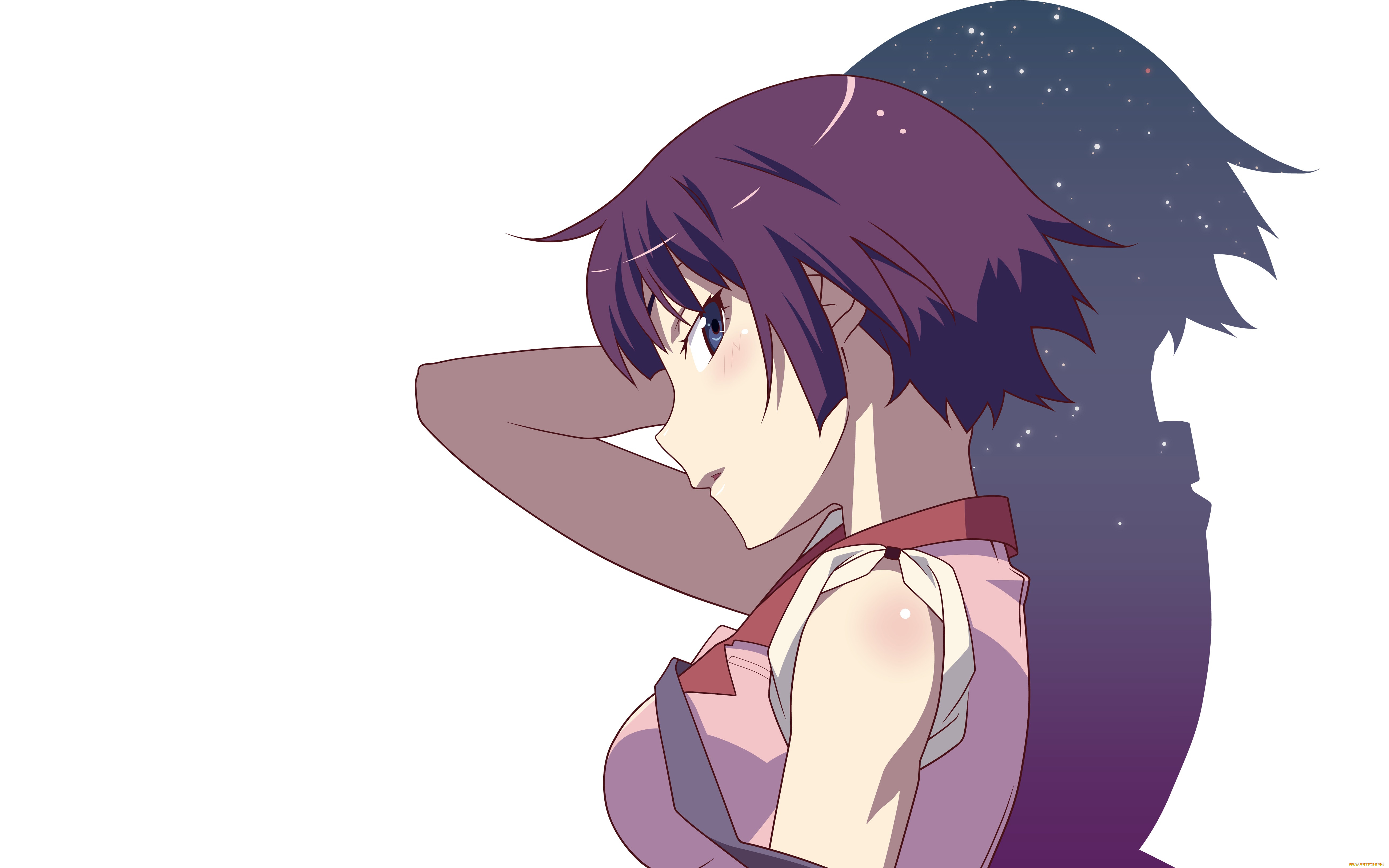 , bakemonogatari, , , 